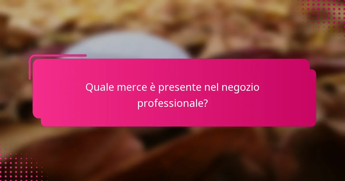Quale merce è presente nel negozio professionale?
