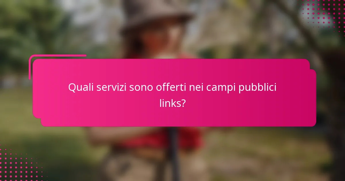 Quali servizi sono offerti nei campi pubblici links?